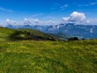 Österreich - Panoramaweg Wiedersbergerhorn - Gelbe Blumenwiese mit Blick vom Rofan Gebirge bis Karwendelkette links